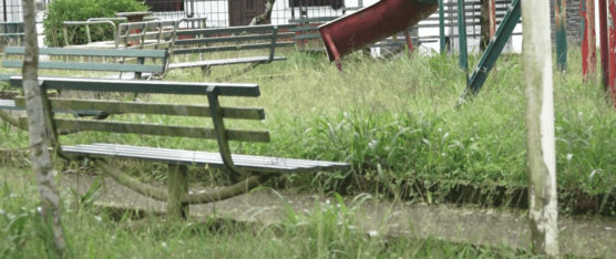 EXIGEN EL MANTENIMIENTO DEL PARQUE DE LOS ROSALES