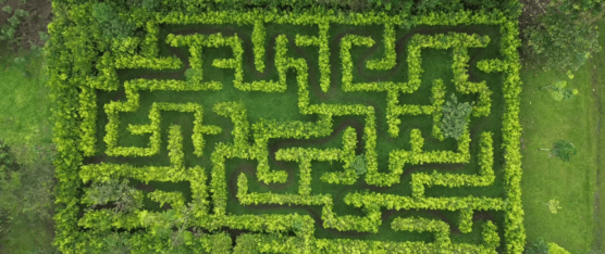ESPACIOS AL AIRE LIBRE PARA EL SANO ESPARCIMIENTO EN SANTO DOMINGO