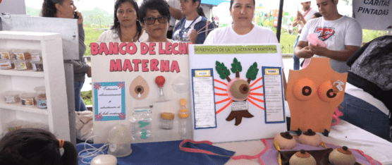 ESTRATEGIAS PARA INCENTIVAR LA LACTANCIA MATERNA EXCLUSIVA