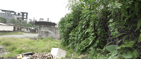 EN TOTAL ABANDONO SE ENCUENTRA LA COOPERATIVA LIBERACIÓN POPULAR