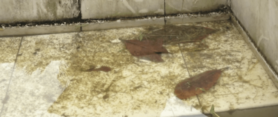 PARQUE ZARACAY LUCE DESCUIDADO SEGÚN CIUDADANOS Y TURISTAS