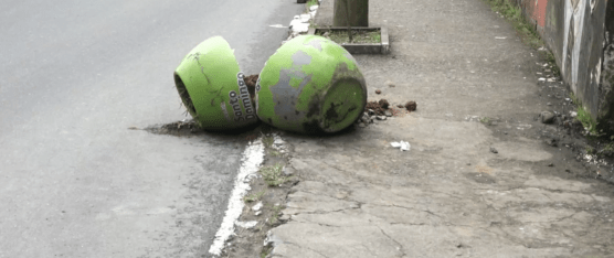 DESTRUCCIÓN DE PLANTAS Y MACETEROS EN LOS ROSALES