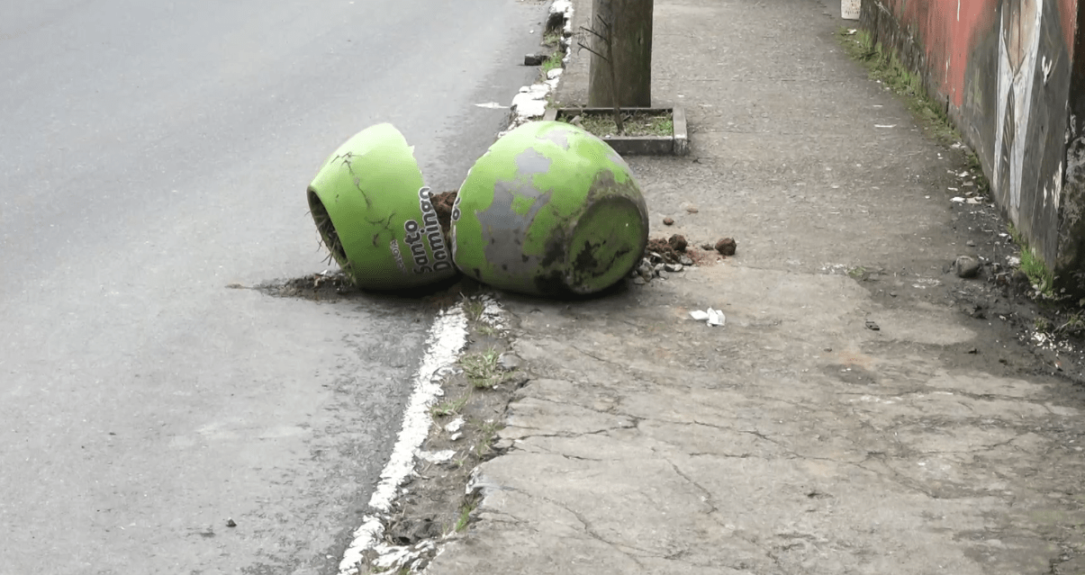 DESTRUCCIÓN DE PLANTAS Y MACETEROS EN LOS ROSALES