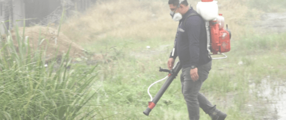 LA LUCHA CONTRA EL DENGUE CONTINÚA