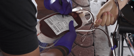 EL 15 DE JUNIO SE CONMEMORA EL DÍA INTERNACIONAL DEL DONANTE DE SANGRE