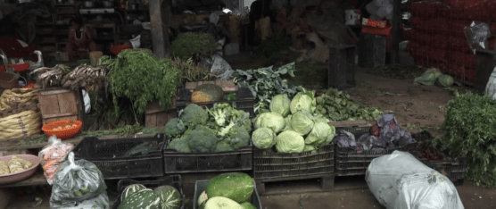 ESPECULACIÓN EN PRODUCTOS PROVENIENTES DE LA SIERRA POR ESTADO DE LA VÍA ALÓAG – SANTO DOMINGO