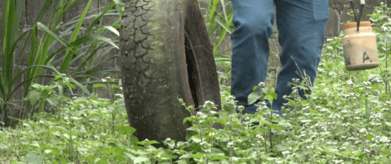 CONTINÚAN LAS CAMPAÑAS DE SALUD CONTRA EL DENGUE EN LA PROVINCIA
