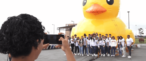 EL PINTORESCO PATO KAWAII, EL MÁS VIRAL