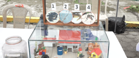 DISMINUYEN LOS CASOS DE DENGUE EN LA PROVINCIA