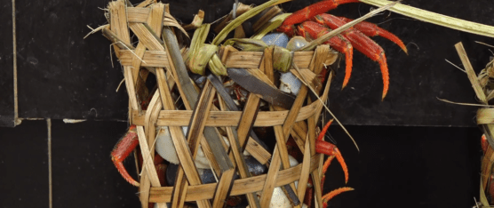 INICIÓ LA VEDA DEL CANGREJO AZUL Y ROJO EN EL PAÍS