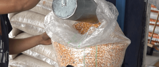 EL HUEVO PODRÍA ELEVAR SU PRECIO, EXISTE ESCASEZ DE MAÍZ EN EL PAÍS