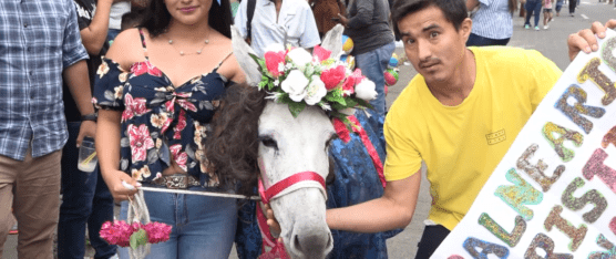 SE REALIZÓ LA TRADICIONAL CARRERA DE BURROS Y ELECCIÓN DE “MI BURRA BELLA”
