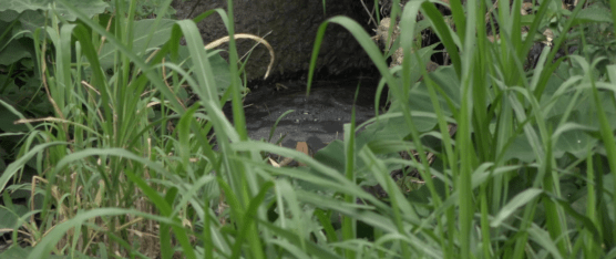 PIDEN ACCIONES PREVENTIVAS PARA EVITAR EMERGENCIAS DURANTE EL INVIERNO