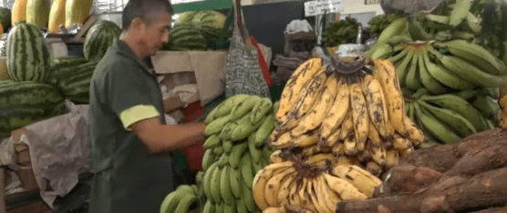 CON UNA TENDENCIA EN ALZA SE MANTIENEN LOS PRECIOS DE LOS PRODUCTOS EN LOS MERCADOS