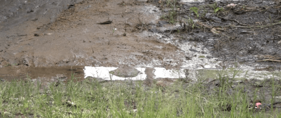 EN EL BARRIO 12 DE OCTUBRE VARIAS CASAS FUERON AFECTADAS POR LAS LLUVIAS