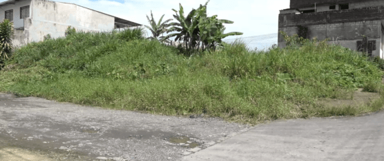 EN EL COMITÉ NUEVA PROVINCIA PIDEN LA INTERVENCIÓN DE LA CALLE CAYAPAS