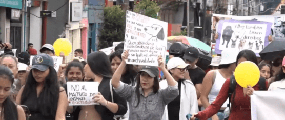 SE DESARROLLÓ UNA MARCHA CON EL FIN DE ARCHIVAR LA LEY LODA