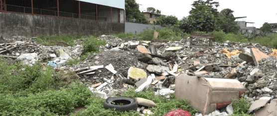 EN LA COOP. 30 DE JULIO UN ÁREA VERDE SE HA CONVERTIDO EN UN BOTADERO DE BASURA
