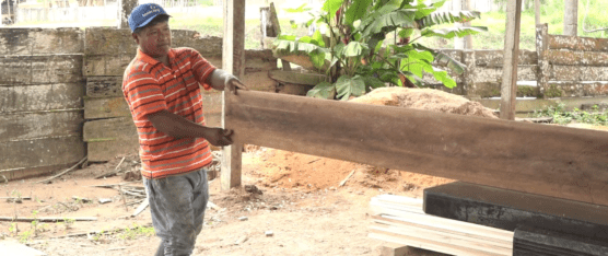 DIFICULTADES PARA TRAMITAR PERMISOS DE GUÍAS PARA EL GREMIO MADERERO