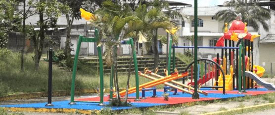 ÁREAS VERDES DE LA ALBORADA  NECESITAN MANTENIMIENTO