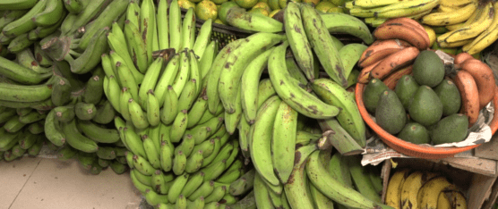 LA HIERBITA, PIMINETO Y TOMATE DE ÁRBOL SUBEN DE PRECIO A CAUSA DEL INVIERNO