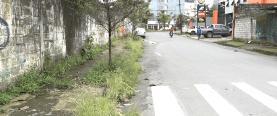 LA INSEGURIDAD AQUEJA A LOS HABITANTES DE LA URB. LOS FAISANES