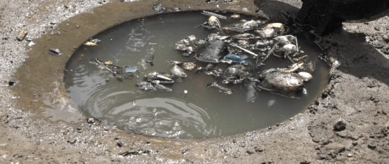 SE AGRAVAN LOS PROBLEMAS POR ALCANTARILLADO COLAPSADO EN COOP. NUEVO AMANECER