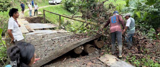 LAS BASES DEL PUENTE DE LA COMUNA TSÁCHILA CHIGUILPE COLAPSARON