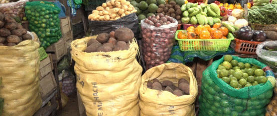 SE REGISTRÓ UN INCREMENTO EN EL VALOR DEL PLÁTANO