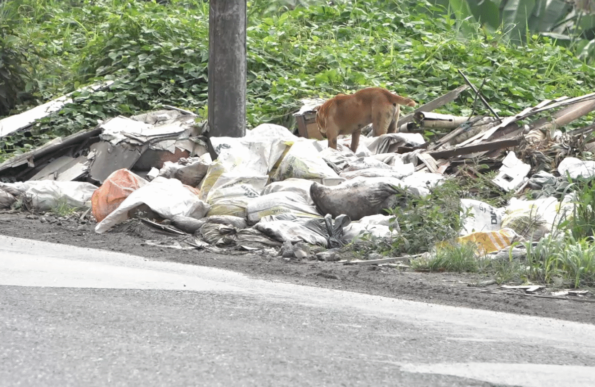 LA ACUMULACIÓN DE ESCOMBROS EN LA BAJADA AL TOACHI AFECTA A LOS MORADORES