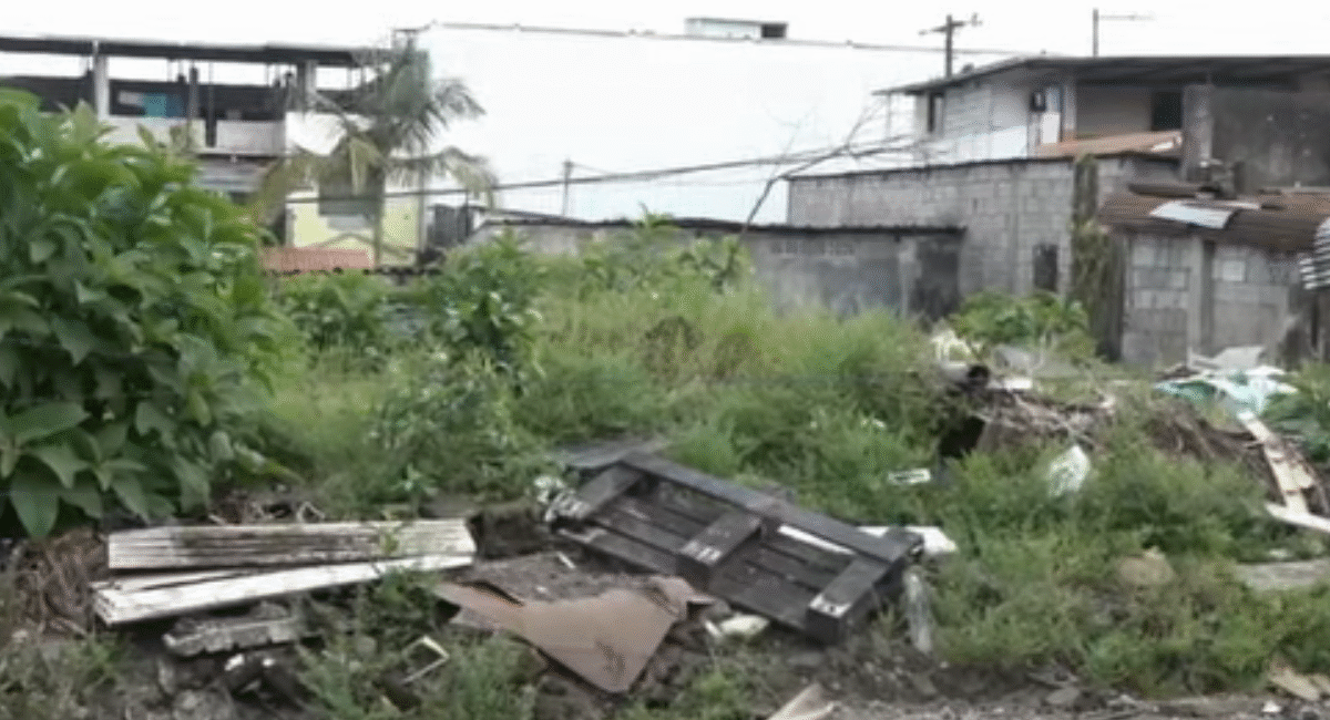 VECINOS PIDEN LA INTERVENCIÓN DE BASURERO CLANDESTINO EN LA CALLE VENUSTIANO CARRANZA