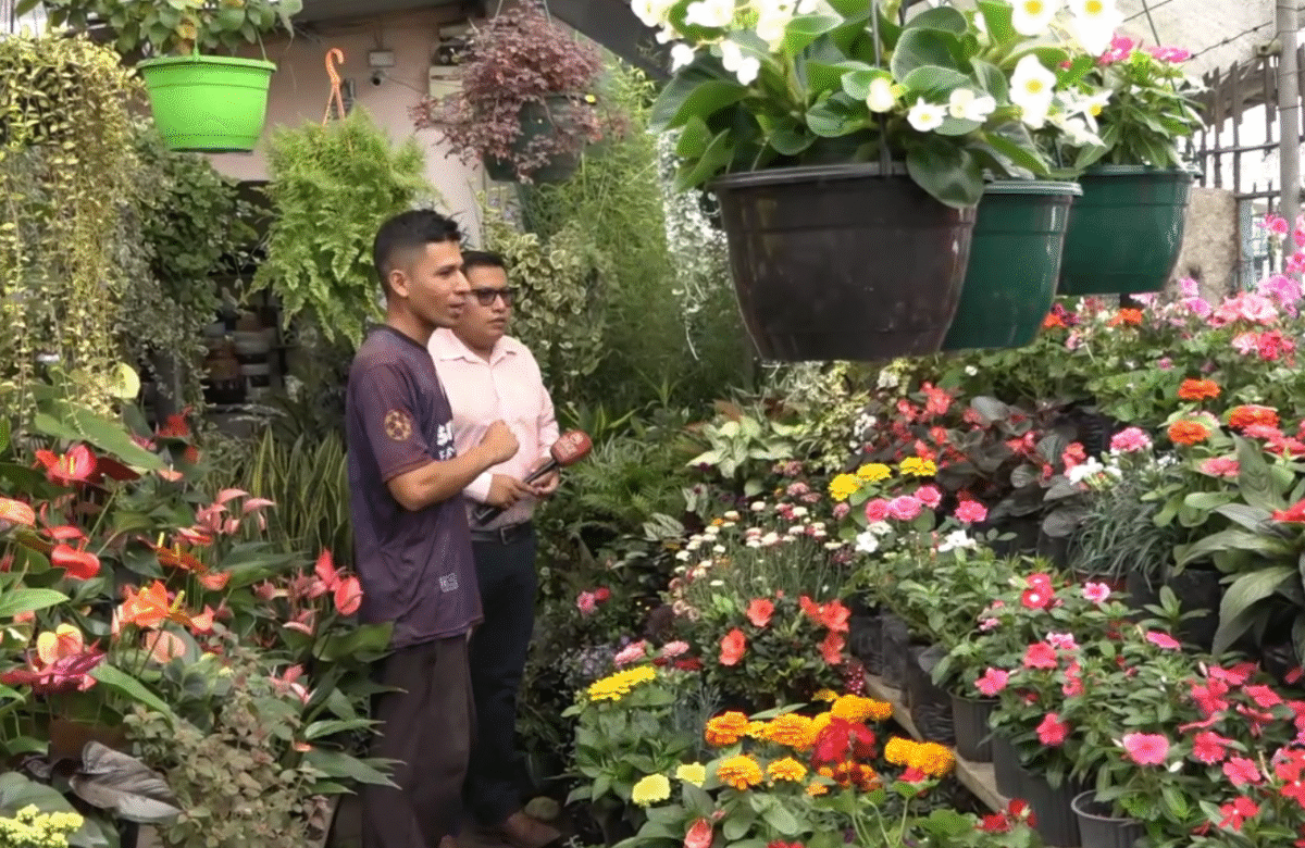 MÁS DE MIL ESPECIES SE EXHIBEN EN EL VIVERO EL PARAÍSO