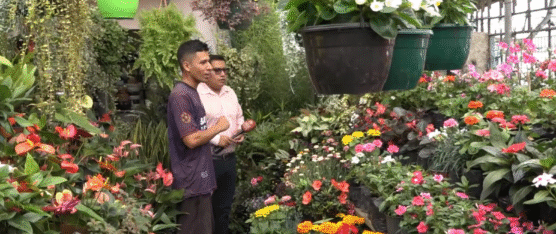 MÁS DE MIL ESPECIES SE EXHIBEN EN EL VIVERO EL PARAÍSO