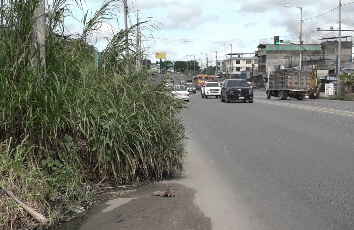 PIDEN MANTENIMIENTO URGENTE DEL ESPALDÓN EN BY PASS CHONE-QUININDÉ