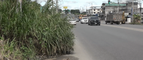 PIDEN MANTENIMIENTO URGENTE DEL ESPALDÓN EN BY PASS CHONE-QUININDÉ