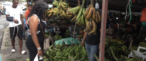 RACIMAS DE PLÁTANO SE VENDEN ENTRE $6 Y $8 POR FALTA DE OFERTA