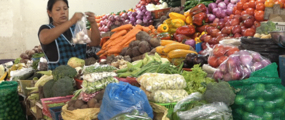 EL PRECIO DEL LIMÓN SUBE Y AFECTA A LAS PICANTERÍAS