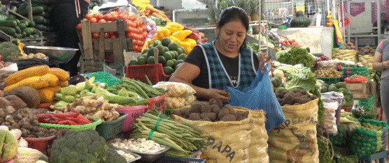 MERCADO CENTRAL SIGUE CON OBSERVACIONES Y VARIACIÓN DE PRECIOS