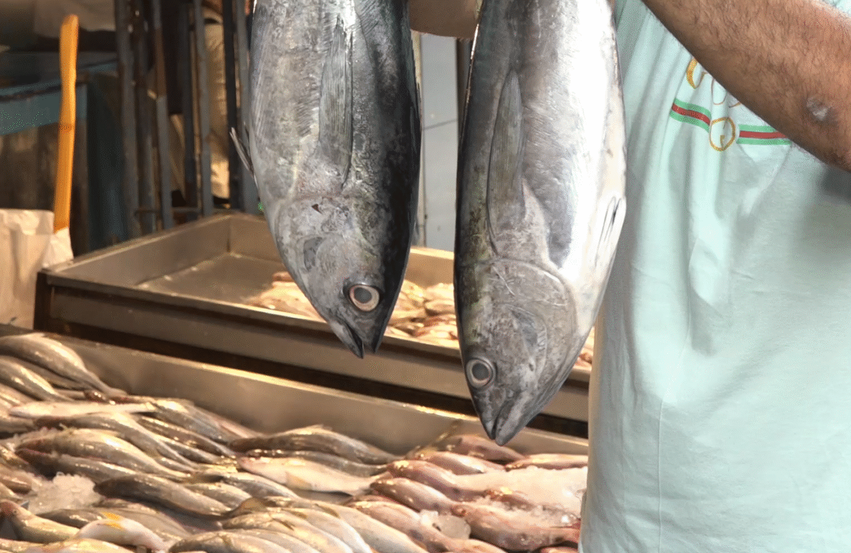 EL COMERCIO DE MARISCOS SE MANTIENE EN SANTO DOMINGO TRAS ALERTA DE TSUNAMI
