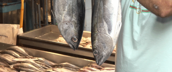 EL COMERCIO DE MARISCOS SE MANTIENE EN SANTO DOMINGO TRAS ALERTA DE TSUNAMI