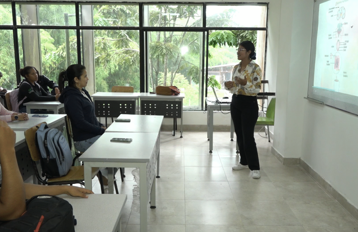 UNIVERSIDAD PÚBLICA DE SANTO DOMINGO OFRECE 230 CUPOS DISPONIBLES