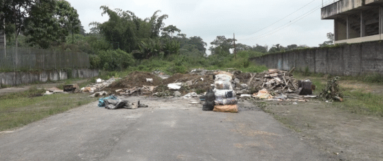 LA CALLE FRANKLIN PALLO ES USADA COMO BASURERO POR MALOS CIUDADANOS