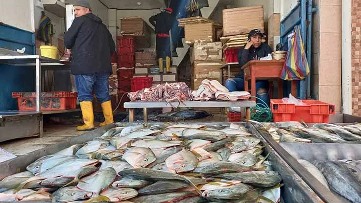 CLAUSURAN LOCALES DEL MERCADO MAYORISTA DE MARISCOS, POR FALTA DE PATENTES