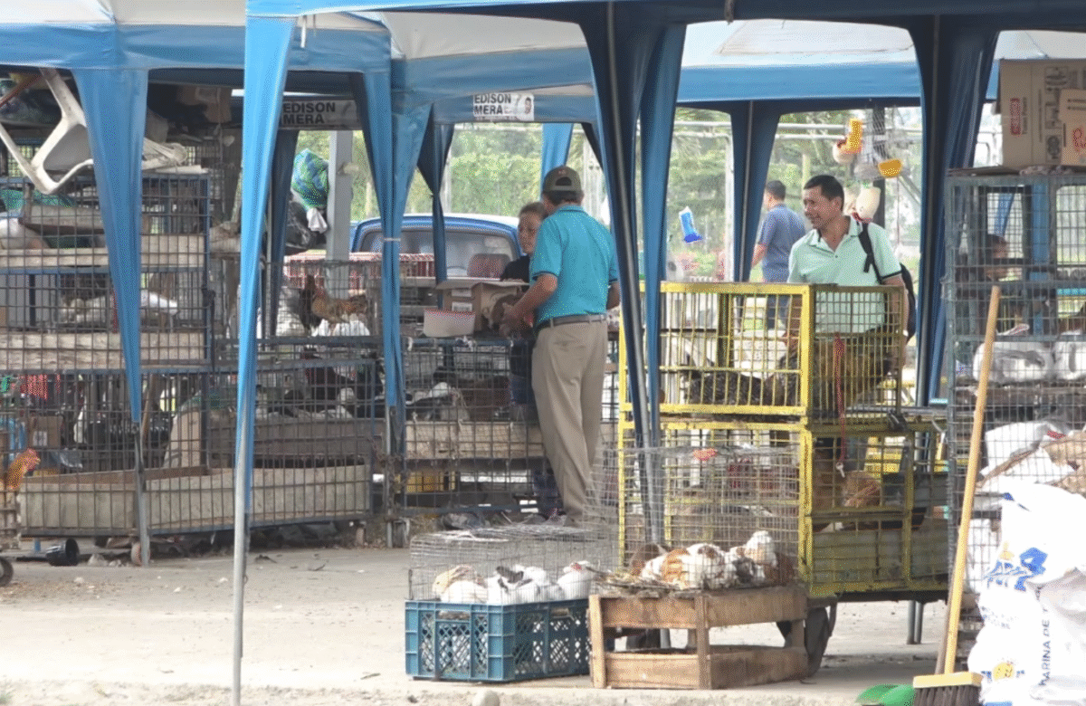 COMERCIANTES DE LA ASOCIACIÓN PAVO REAL ESPERAN CAMBIOS MUNICIPALES