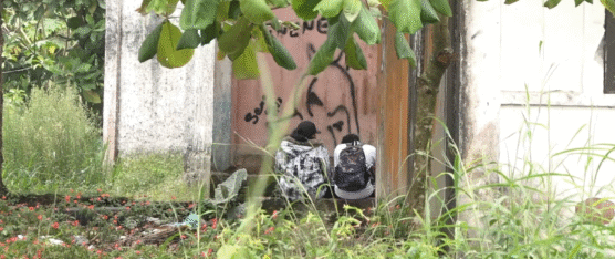 LA PROVINCIA NO CUENTAN CON CENTROS AUTORIZADOS