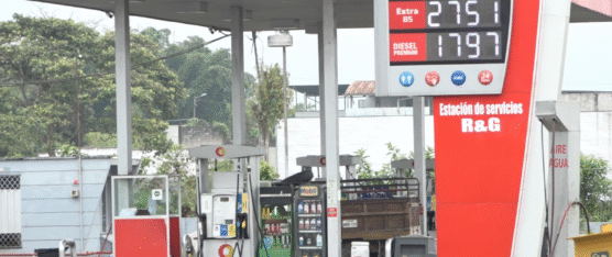 ESTACIONES DE SANTO DOMINGO SE SURTEN EN TERMINAL DE PASCUALES POR ESCASEZ