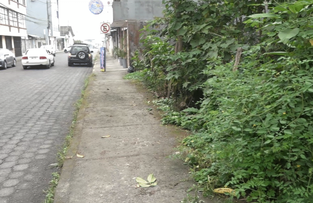DENUNCIAN CONTAMINACIÓN EN QUEBRADA POR ARROJO DE BASURA