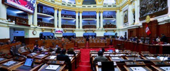 EL CONGRESO DE PERÚ DECLARÓ AL CARTEL DE LOS SOLES COMO UNA ORGANIZACIÓN TERRORISTA