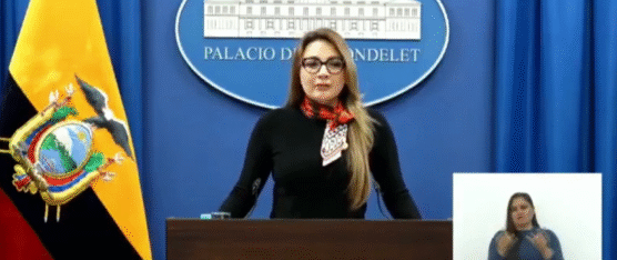 EL GOBIERNO ENVIARÁ NUEVAS PREGUNTAS PARA LA CONSULTA POPULAR