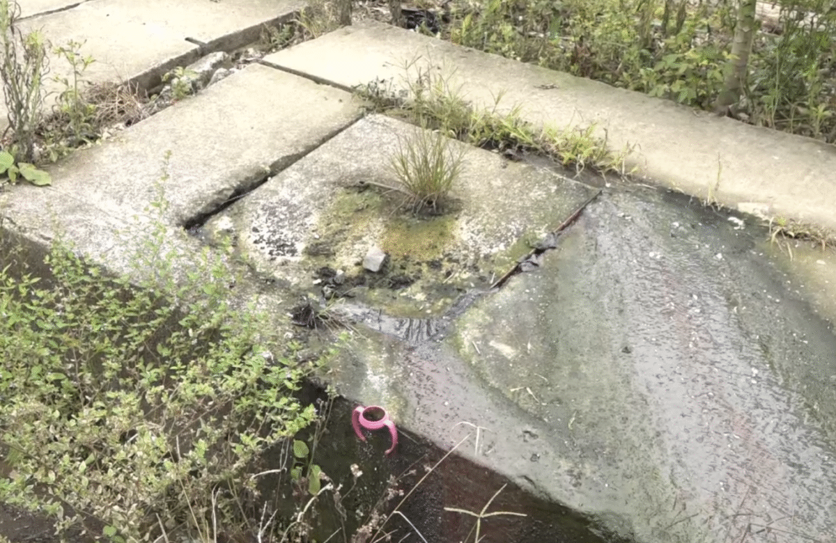 ALCANTARILLA COLAPSADA Y FUGA DE AGUA PREOCUPA EN LA COOP. LOS PINOS